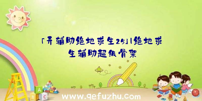 「开辅助绝地求生25」|绝地求生辅助超级骨架